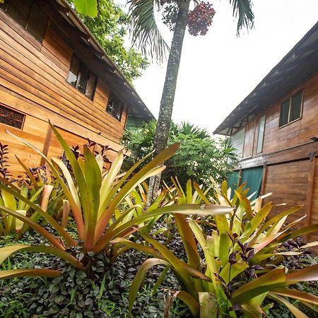 Villas Serenidad Puerto Viejo de Talamanca Exterior photo